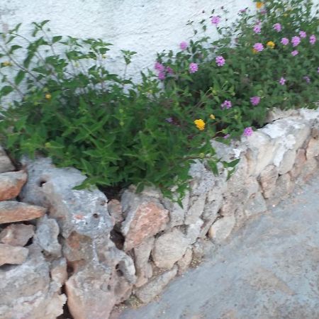 La Villa Di Luca Ostuni Extérieur photo