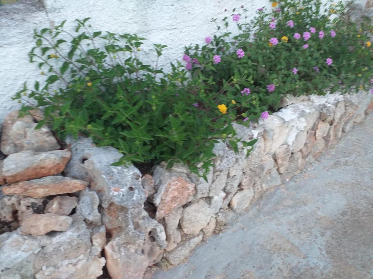 La Villa Di Luca Ostuni Extérieur photo